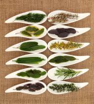 Murais de Parede - Ervas Aromáticas