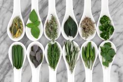 Fototapeten - Aromatischen Kräutern