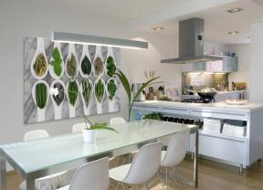 Wall Murals - Aromatic Herbs