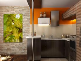 Fotobehang - Druiven Wijngaard