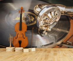 Vinyl Disc