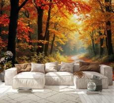 Autumn Trees in the Forest