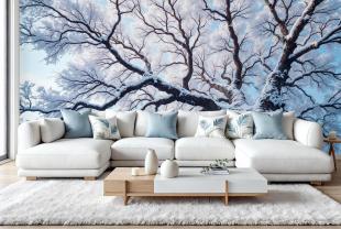 Big Tree Covered with Snow