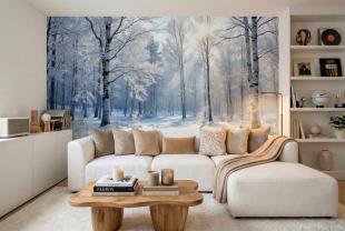 Día Soleado en el Bosque Nevado