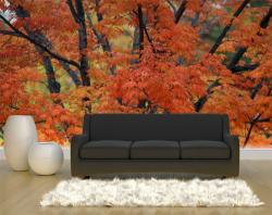 Herbstlaub