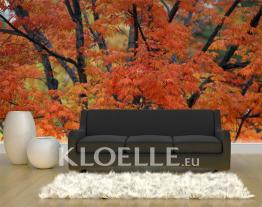 Herbstlaub