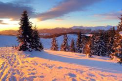 Fototapeten - Schnee