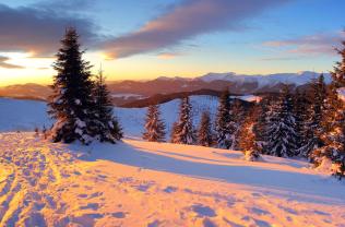 Murais de Parede - Neve