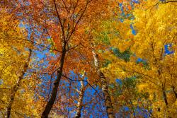 Fototapeten - Herbsttages