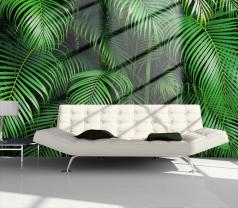 Palm Tree