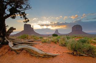 Wall Murals - Monument Valley Utah