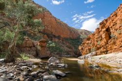 Fotomurali - Macdonnell Ranges Australia