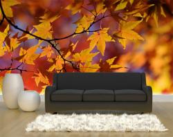 Fotomurali - Colori d'autunno