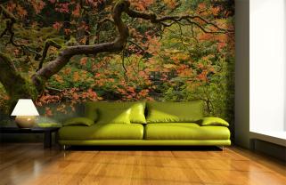 Jardin Japonais