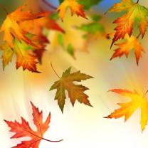 Fototapeten - Herbstlaub