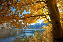 Fototapeten - Herbstfarben
