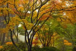 Fototapeten - Herbsttages