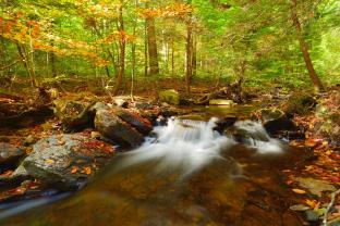 Wall Murals - Autumn Waterfall