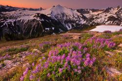 Wall Murals - Snow Landscape Sunset