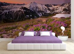 Snow Landscape Sunset