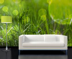Grass