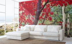 Red Leaves