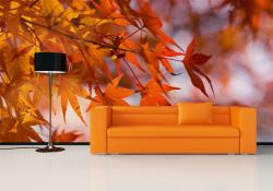 Autumn Leaves