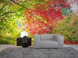 Autumn Leaves