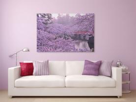 Fototapet - Kirsebærblomster
