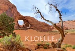 Wall Murals - Monument Valley USA