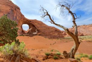 Fototapet - Monument Valley USA