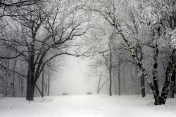 Wall Murals - Snow Landscape