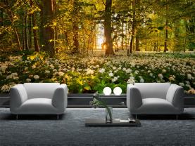 Wall Murals - White Flowers