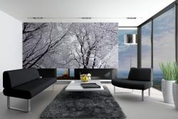 Snow Landscape