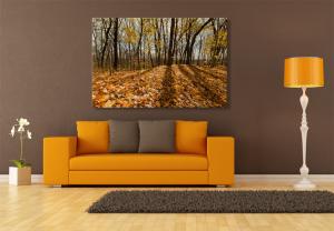Wall Murals - Autumn Day