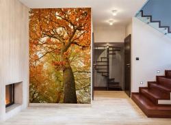 Autumn Trees