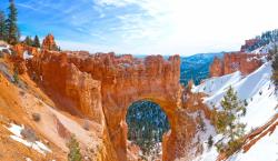 Fototapeter - Grand Canyon Arizona