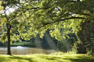 Wall Murals - Lake