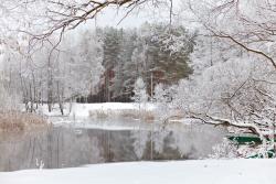 Fototapeten - Schnee