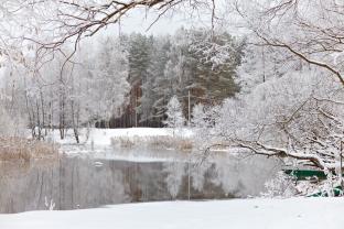 Fotobehang - Sneeuw