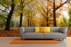 Autumn Day