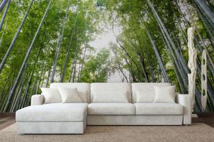 Bambu Skog