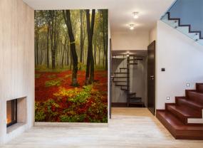 Herbstfarben