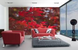 Red Leaves