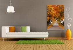 Fototapeten - Herbsttages
