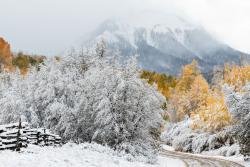 Fototapeten - Schnee