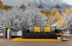 Snow Landscape