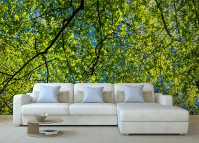 Primavera