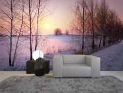 Snow Landscape