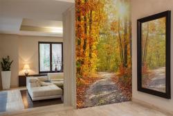 Autumn Trees